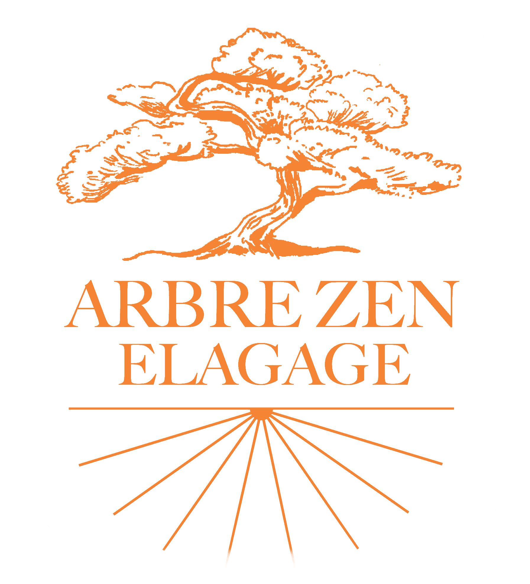 Arbre Zen