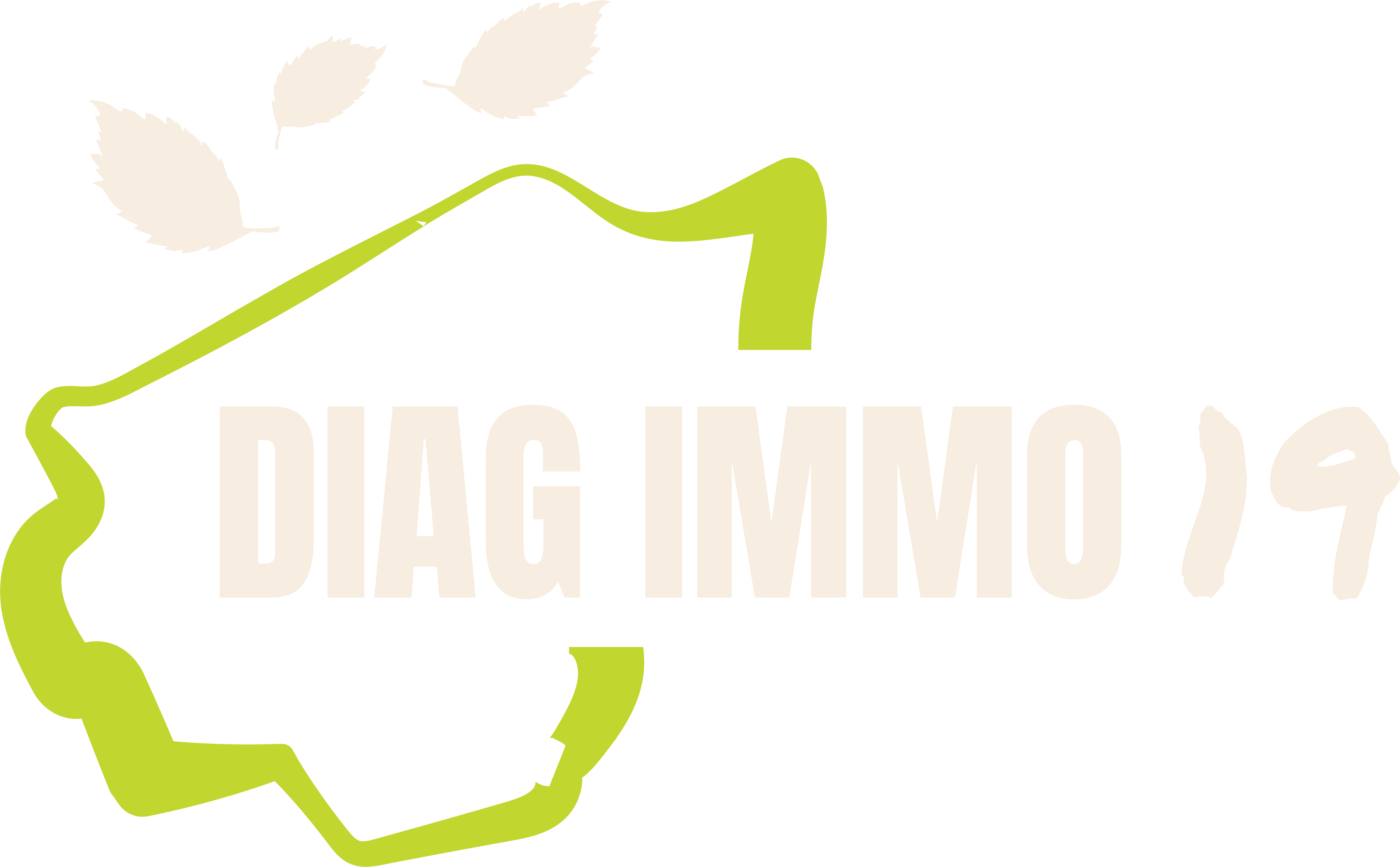 Diag Immo 19